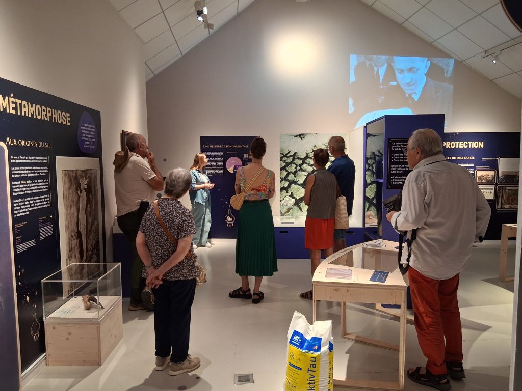 groupe en visite guidée dans l'exposition Les pouvoirs du sel avec une médiatrice