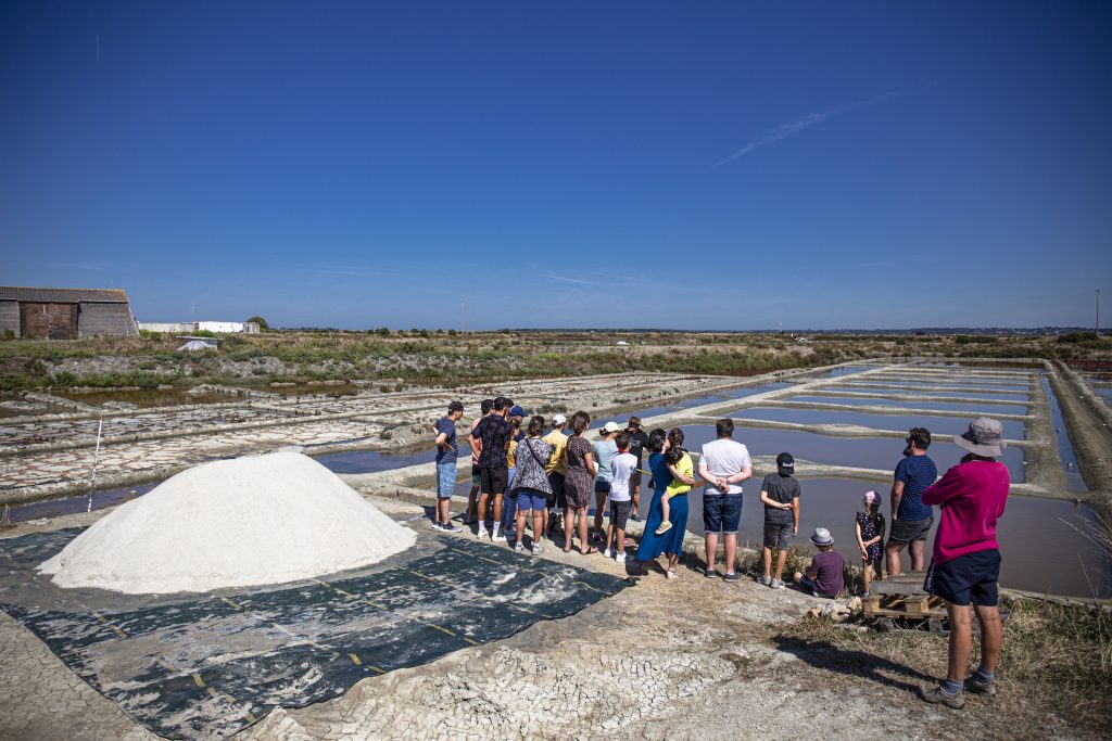 visite de groupe dans les salines du Le Natursel lors des visites couplées musée et saline